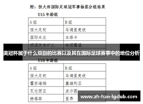美冠杯属于什么级别的比赛以及其在国际足球赛事中的地位分析