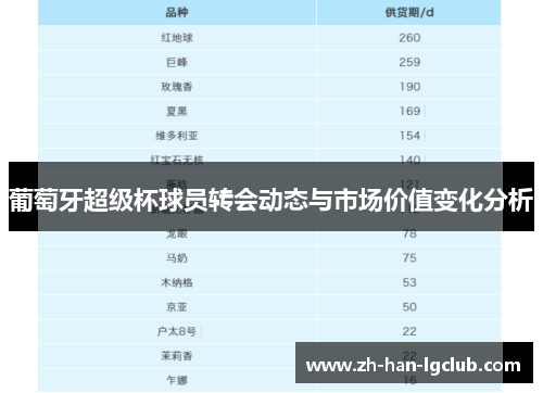 葡萄牙超级杯球员转会动态与市场价值变化分析